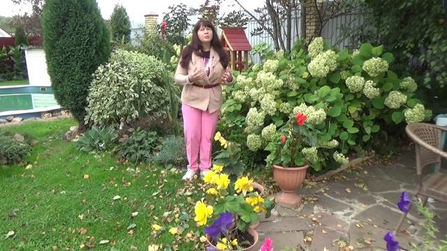 Как обрезать МОЛОДУЮ ГОРТЕНЗИЮ? Первая обрезка метельчатой, древовидной и крупнолистной гортензии!