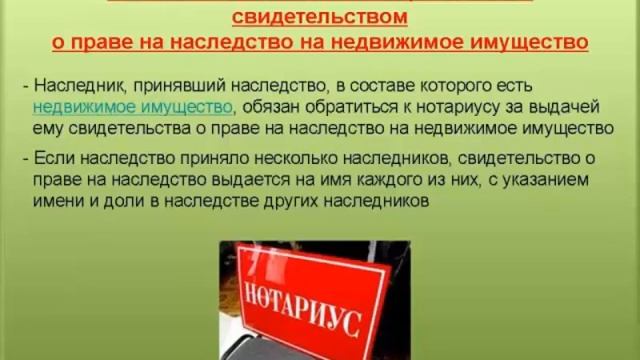 Ответственность правопреемника. Обязанности наследника. Ответственность наследников.