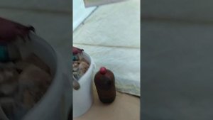 Лучшее отопление зимней палатки. Птица+Шеврон+конвекция=комфорт