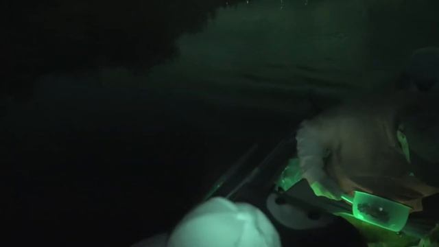 Зарыбление мальком щуки река Волнянка с Михайловка Запорожская область 9000 щурят смотреть онлайн