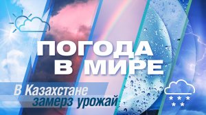 «Погода в мире» от 28 января 2023