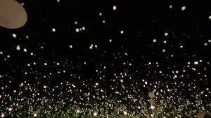 Why is Yayoi Kusama's Infinity Mirrored Room a must-see artwork ?