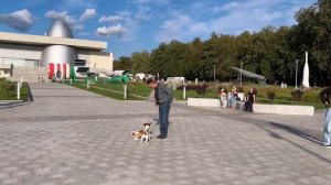 День Каспера ?