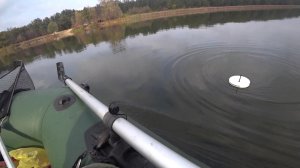 Щука на кружки. Выгул живцов (23.10.2020)