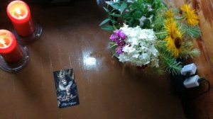 Сегодня всё получится! Карта дня