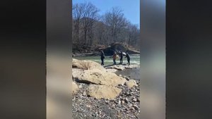 Рыбалка на реке Белая Адыгея