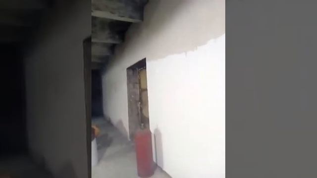 Даша тв смотреть онлайн