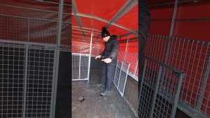 Газель скотовоз,кузов на газель для перевезення худоби.