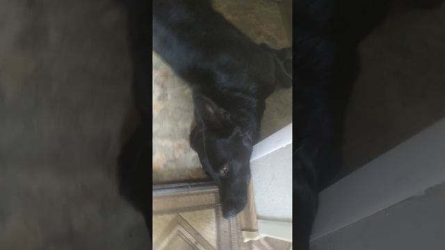 VID-20240903-WA0009.mp4 смотреть онлайн