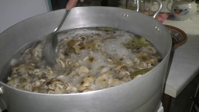 Самый простой и вкусный рецепт маринования опят по-домашнему