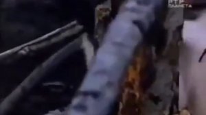 Козёл ведёт овец на убой