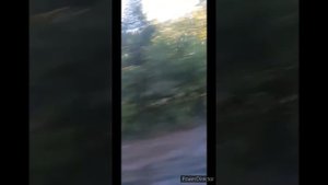 Мы едем в умань. Что случилось в Умани? 😮