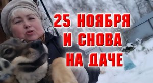 25 ноября. На даче. Влог.mp4