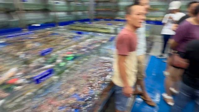 Вьетнам 2023 | Дананг | Цены на жильё | Цены на продукты | Что изменилось? #вьетнам #дананг #азия