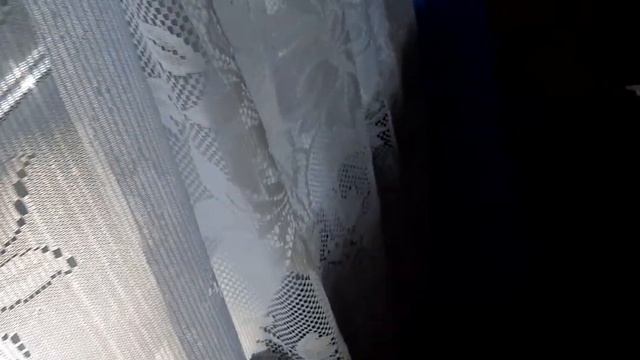 Как избавиться от клопов за 3 минуты