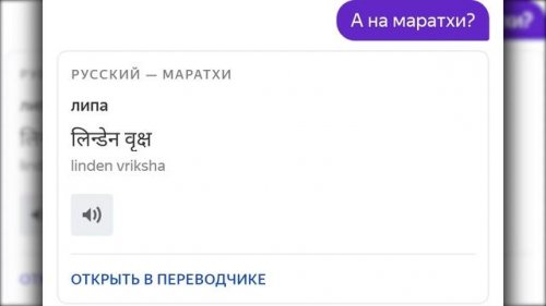 Көшедегі кискаларды көрсетеді Тамақтағы орыс сенімі видео