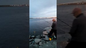 Кронштадт Рыбалка на дамбе