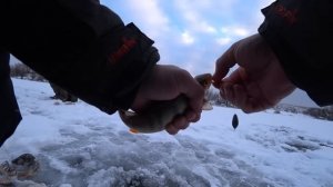 Бомба с утра удивила Поклёвка за поклёвкой