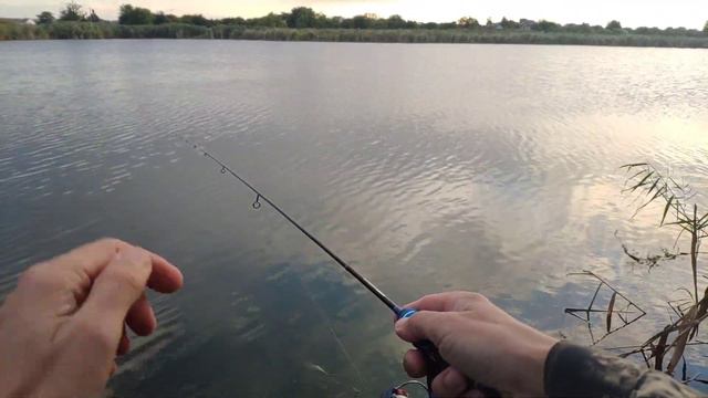 Мормышинг перед дождём.5 видов рыб за одну рыбалку.gammarus 0.1-06. смотреть онлайн