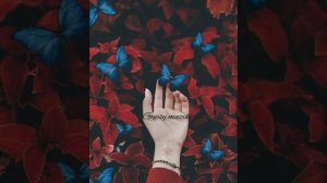 Новая цыганская песня ?Tequila от Nótár Mary Feat. Kis Grófo?❤эту песню ищут все❤
