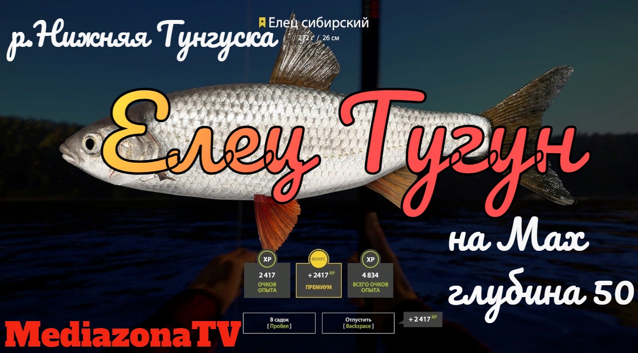 Тугун реальная рыбалка