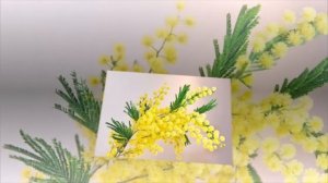 МОЯ МАМА ЛУЧШАЯ НА СВЕТЕ!  Ассоль.