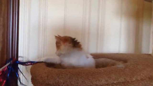 Limpopo Russian Bars*Ru смотреть онлайн