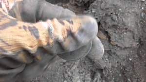 Ноябрьский коп в заброшенной деревне.