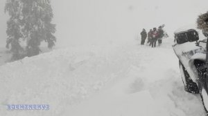 выжившие из под лавины