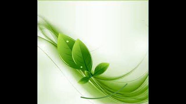 КЛИЧКИ ИМЕНА ДЛЯ ПОПУГАЕВ Как назвать попугая ВОЛНИСТЫЙ ПОПУГАЙ ВИДЕО Волнистые попугаи видео смотреть онлайн