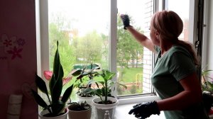 С этим ТРЮКОМ ни МУХ, ни КОМАРОВ не будет