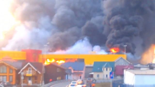 Шок! Нашла офис Димы Масленникова! Студия Макса Брандта Новая рубрика! смотреть онлайн