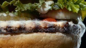 "Moldy Whopper" by INGO, DAVID Miami & Publicis Bucharest for Burger King | The One Show 2020