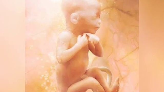 39 haftalik homila. Homiladorlikning 39-haftasi. смотреть онлайн