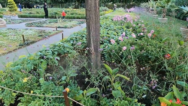 Парк Культуры. Парк Горького. Москва. 4.09.22 смотреть онлайн