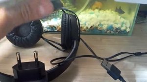 Обзор SONY Xperia ZR/C5503