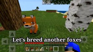 How to tame a fox in survival minecraft (tutorial)