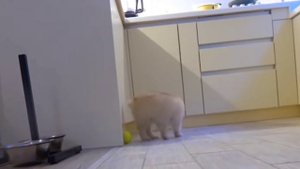 а, ну давай спросим гугл а, кто такой мистр бубл? породия 1часть ( @Fan_Mr_Booble )