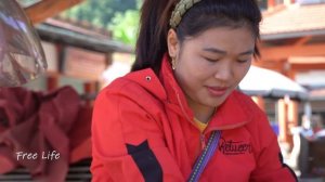 Take care of the clean vegetable garden, Mustard greens and Harvest kohlrabi | free life