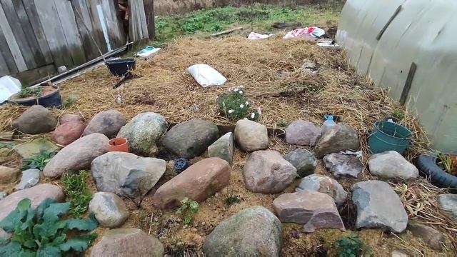 а что Вам снится после похода в лес? смотреть онлайн