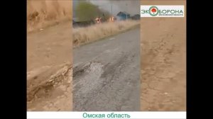 Сибирь в огне - страшные кадры лесных пожаров