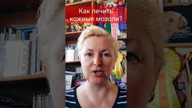 🐕📝🐾 Как лечить кожные мозоли на локтях собаки?