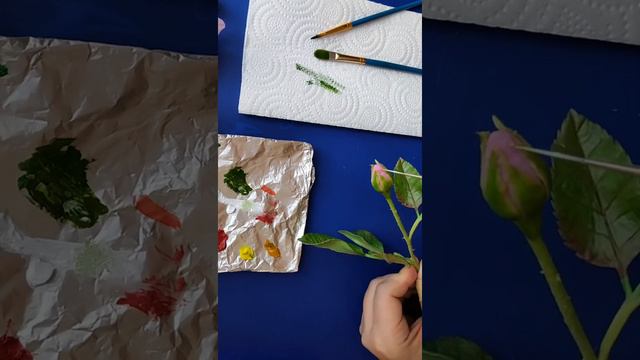 Soğuk porselen gül goncası tonlama. Бутон розы,тонировка. Rosebud cold porcelain. смотреть онлайн