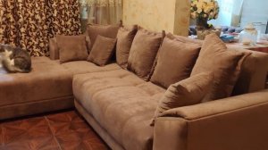 Отзыв о диване Gupan Nordkisa угловой 130*225 и интернет-магазине Анатомия сна