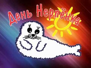 Карельская нерпа