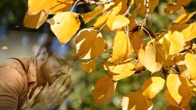 ...Музыка любви для двоих...     Пообещайте мне любовь   Евгений Крылатов