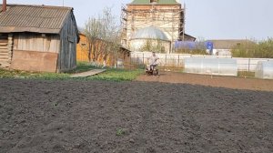 Мотоблок Ока МБ 1д1. Вспашка, посадка. Сезон 2021