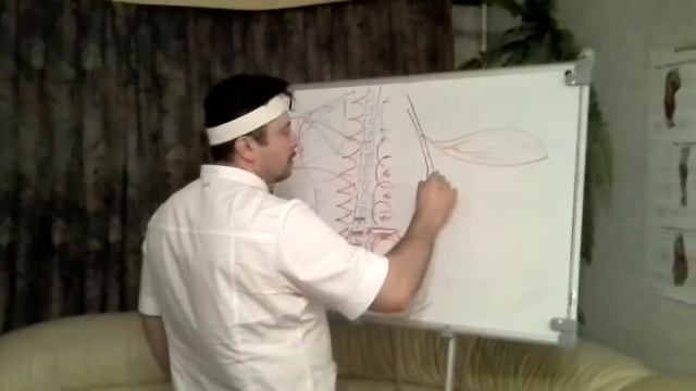 Проработаем подробно ягодицы! Массаж и акупунктурные точки. Массаж спины - обучение. БТММ