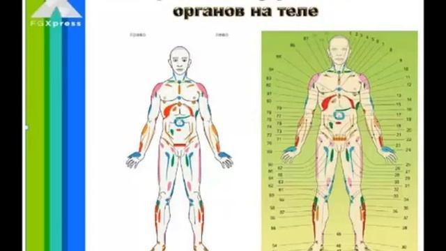 Народный Целитель