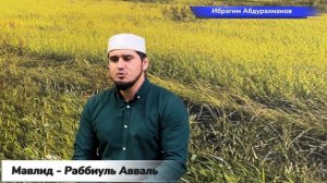 Мавлид - Раббиуль Авваль.